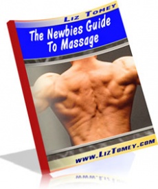 Ebook cover: The Newbies Guide To Massage