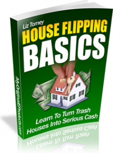 Ebook cover: House Flipping Basics