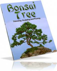Ebook cover: Bonsai Trees: Growing, Trimming, Pruning, and Sculpting