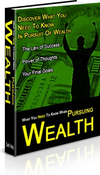 Ebook cover: The Secrets Of Pursuing Wealth