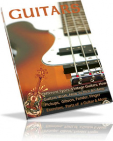 Ebook cover: GUITARS