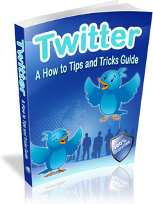 Ebook cover: Twitter - A How to Tips and Tricks Guide