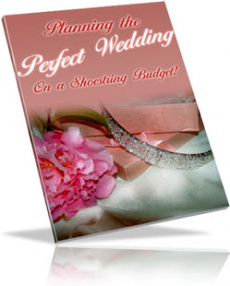 Ebook cover: Throw A Wedding on a Shoestring Budget