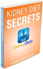 Ebook cover: Kidney Diet Secrets