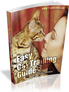 Ebook cover: Easy Cat Training