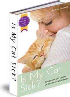 Ebook cover: The Cat Health Guide