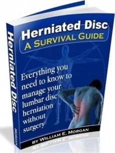 Ebook cover: Disc Herniation A Survival Guide