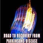 Ebook cover: Road to Recovery from Parkinsons Disease