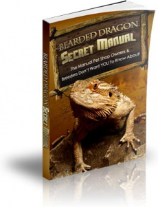 Ebook cover: Bearded Dragon Secret Manual