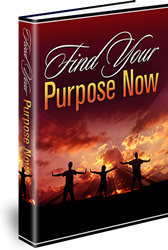 Ebook cover: Find Your Purpose Now