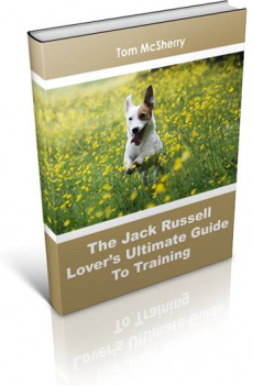 Ebook cover: The Jack Russell Lovers Ultimate Guide To Training