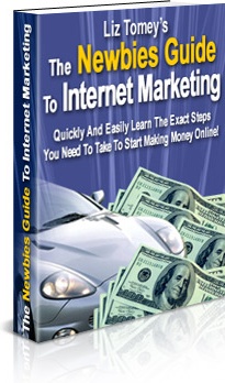 Ebook cover: The Newbies Guide To Internet Marketing