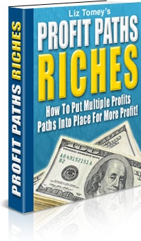 Ebook cover: Profit Paths Riches