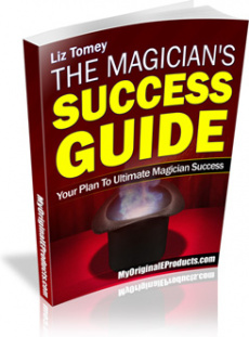 Ebook cover: The Magician's Succcess Guide