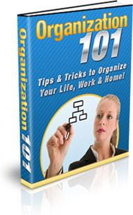 Ebook cover: Organization 101