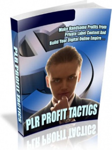 Ebook cover: Introducing PLR Profit Tactics