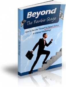 Ebook cover: Beyond The Newbie Stage Of Internet Marketing