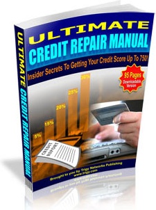 Ebook cover: Ultimate Credit Repair Manual