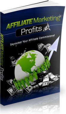 Ebook cover: Affiliate Marketing Profits