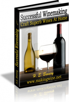 Ebook cover: Successful Wine Making