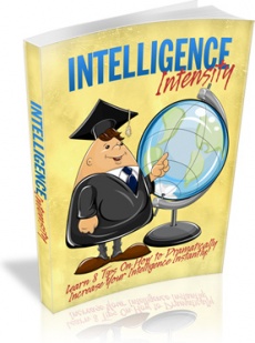 Ebook cover: Intelligence Intensity