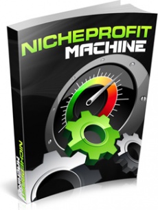Ebook cover: Niche Profit Machine