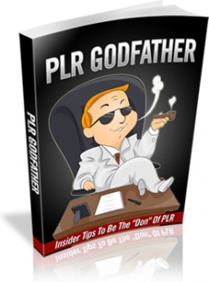 Ebook cover: PLR Godfather