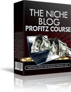 Ebook cover: The Niche Blog Profitz Course
