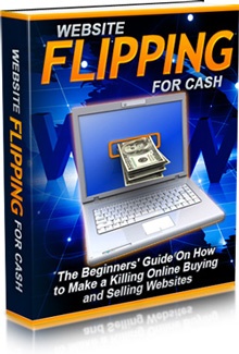 Ebook cover: Website Flipping For Cash