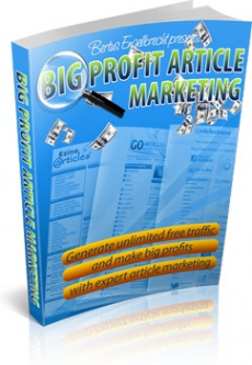 Ebook cover: Big Profit Article Marketing