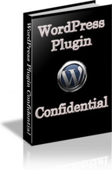 Ebook cover: WordPress Plugin Confidential