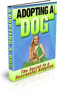 Ebook cover: Adopting a Dog