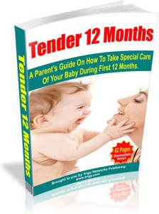 Ebook cover: Tender 12 Months