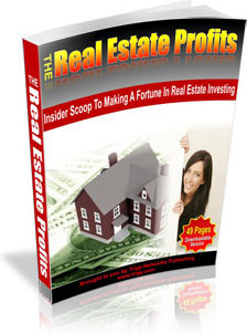 Ebook cover: The Real Estate Profit