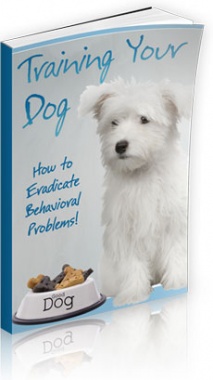 Ebook cover: Training Your Dog
