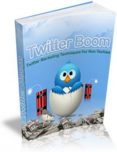 Ebook cover: Twitter Boom