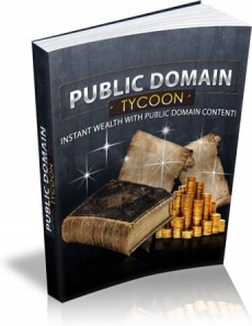 Ebook cover: Public Domain Tycoon: Cashing In On The Public Domain