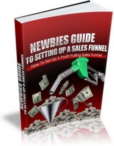 Ebook cover: A Newbies Guide to Setting Up A Sales Funnel