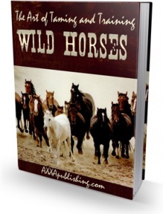 Ebook cover: The Art of Taming and Training Wild Horses!