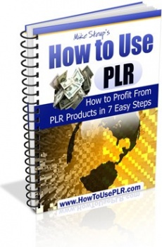 Ebook cover: How To Use PLR