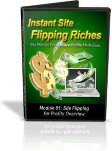 Ebook cover: Instant Site Flipping Riches