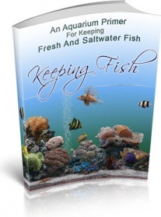 Ebook cover: Keeping Fish