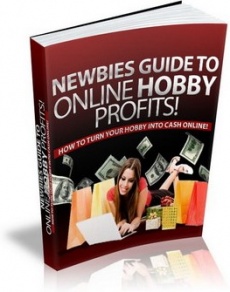 Ebook cover: The Newbies Guide To Online Hobby Profits
