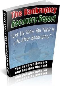 Ebook cover: The Bankruptcy Recovery Report