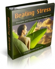 Ebook cover: Beating Stress!