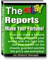 Ebook cover: eBay Reports