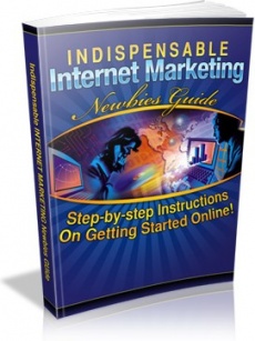 Ebook cover: Indispensable Internet Marketing Newbies Guide