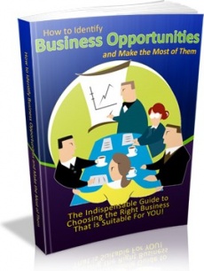 Ebook cover: How to Identify Business Opportunities and Make the Most of Them
