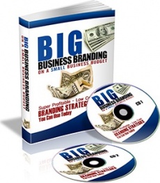 Ebook cover: Big Business Branding On A Small Business Budget
