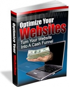 Ebook cover: Optimize Your Websites
